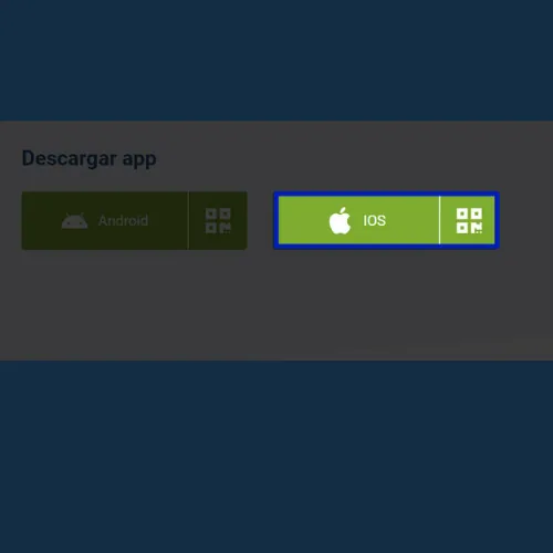 Haga clic en el botón de descarga